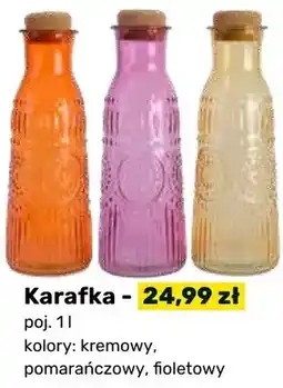 Bricomarche Karafka oferta