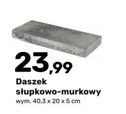 Bricomarche Daszek słupkowo-murkowy San oferta