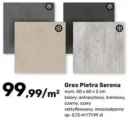 Bricomarche Gres Pietra Serena antracytowy, kremowy, czarny, szary oferta