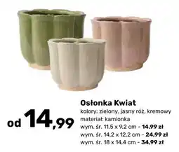 Bricomarche Osłonka Kwiat oferta