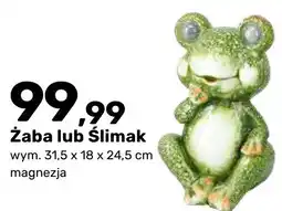 Bricomarche Figurka ogrodowa solarna Żaba lub Ślimak oferta