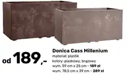 Bricomarche Donica Cass Millenium oferta