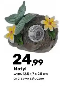 Bricomarche Figurka ogrodowa solarna Motyl oferta