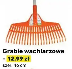Bricomarche Grabie wachlarzowe oferta