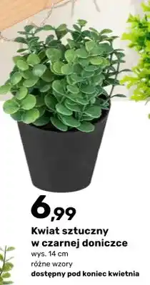 Bricomarche Kwiat sztuczny w czarnej doniczce oferta