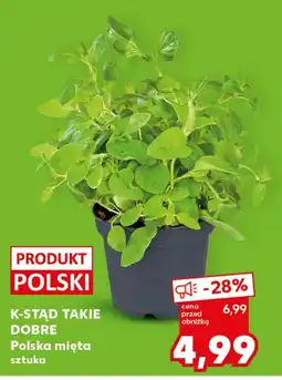 Kaufland Mięta K-Stąd Takie Dobre oferta