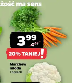 Netto Marchew MA oferta