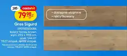 Castorama Gres Sigurd oferta