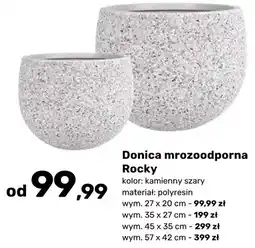Bricomarche Donica mrozoodporna Rocky oferta