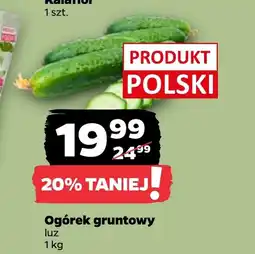 Netto Ogórek Polski oferta