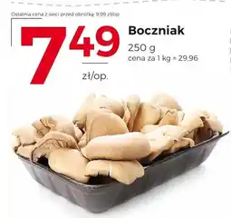 Frac Boczniak oferta