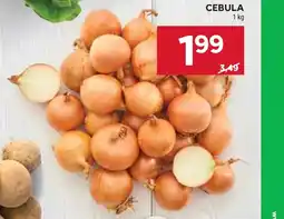 Stokrotka Market Cebula oferta