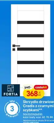 Castorama Skrzydło drzwiowe Credis z czarnymi szybkami oferta
