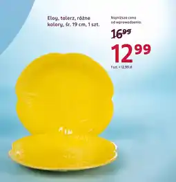 Rossmann Talerze Eloy oferta