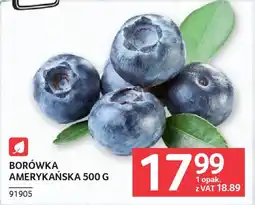 Selgros Borówka amerykańska oferta