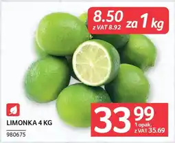Selgros Limonka oferta