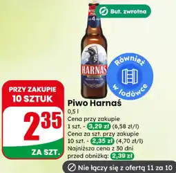 Dino Piwo Harnaś oferta
