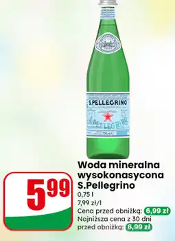 Dino Woda mineralna wysokonasycona S.Pellegrino oferta