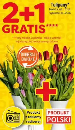 Polomarket Tulipany oferta