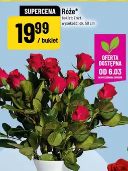 Polomarket Róże oferta