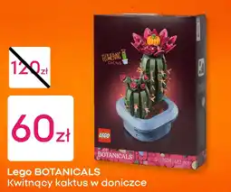 Pepco Lego BOTANICALS Kwitnący kaktus w doniczce oferta