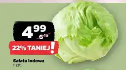 Netto Sałata lodowa oferta