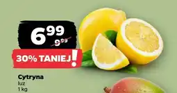 Netto Cytryna luz oferta