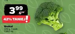 Netto Brokuł oferta