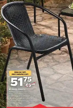 Netto Krzesło Bistro oferta