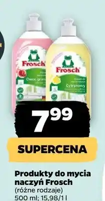Netto Produkty do mycia naczyń Frosch oferta