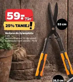 Netto Nożyce do żywopłotu oferta