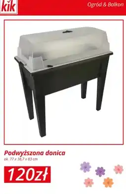 KiK Podwyższona donica oferta