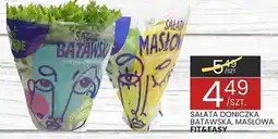 Wafelek Sałata doniczka batawska, masłowa oferta