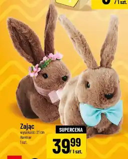 Polomarket Zając Hanmar oferta