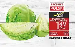 Wafelek Kapusta biała oferta