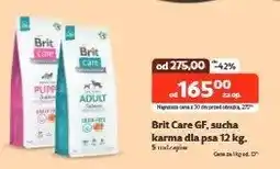 Kakadu Sucha karma dla psa - cena od: oferta