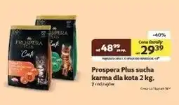 Kakadu Sucha karma dla kota - cena od: oferta
