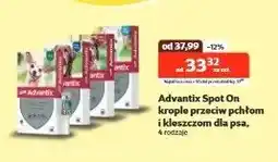 Kakadu Krople przeciw pchłom i kleszczom dla psa - cena od: oferta