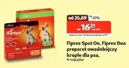 Kakadu Preparat owadobójczy krople dla psa - cena od: oferta
