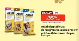 Kakadu Tabletka do rozgryzania i żucia przeciw pchłom i kleszczom dla psa - cena od: oferta