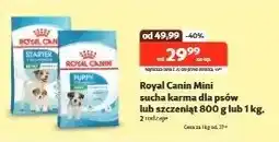Kakadu Sucha karma dla psów lub szczeniąt - cena od: oferta