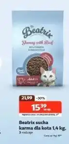 Kakadu Sucha karma dla kota oferta