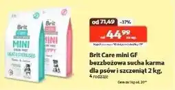 Kakadu Bezzbożowa sucha karma dla psów i szczeniąt - cena od: oferta