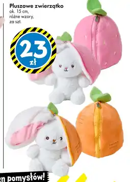 Tedi Pluszak Ok oferta