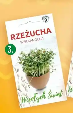 Polomarket Rzeżucha wielkanocna oferta