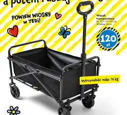 Tedi Wózek transportowy TEDi oferta