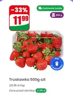 Dino Truskawka oferta