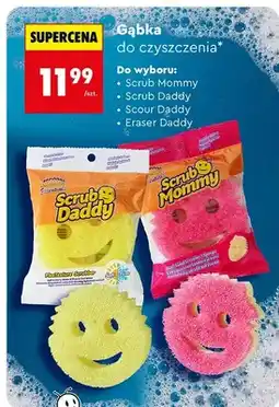 Biedronka Gąbka do czyszczenia, różne rodzaje oferta
