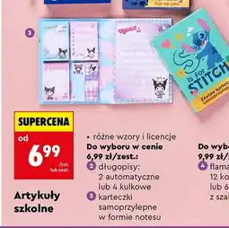 Biedronka Karteczki samoprzylepne w formie notesu oferta