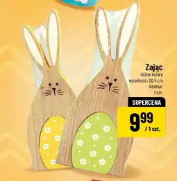 Polomarket Zając Hanmar oferta